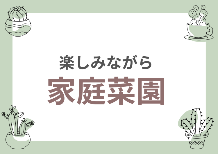 楽しみながら家庭菜園